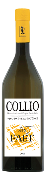 Collio Doc Bianco