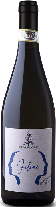 Filiae Frascati Superiore 24