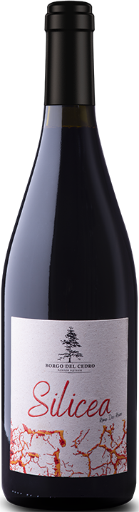 Silicea Roma Rosso 24