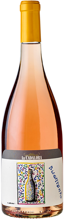Buontempo Pinot Nero Rosato Vallagarina IGT 24
