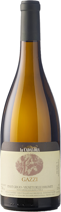 Pinot Grigio Gazzi 23