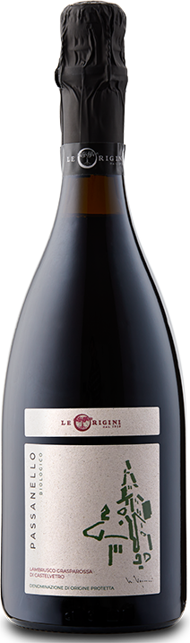 Lambrusco Grasparossa di Castelvetro "Passanello" 24