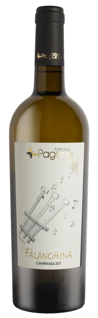 [LV061] Falanghina Campania IGT