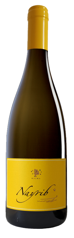 [LV026] Nayrib Ribolla Gialla