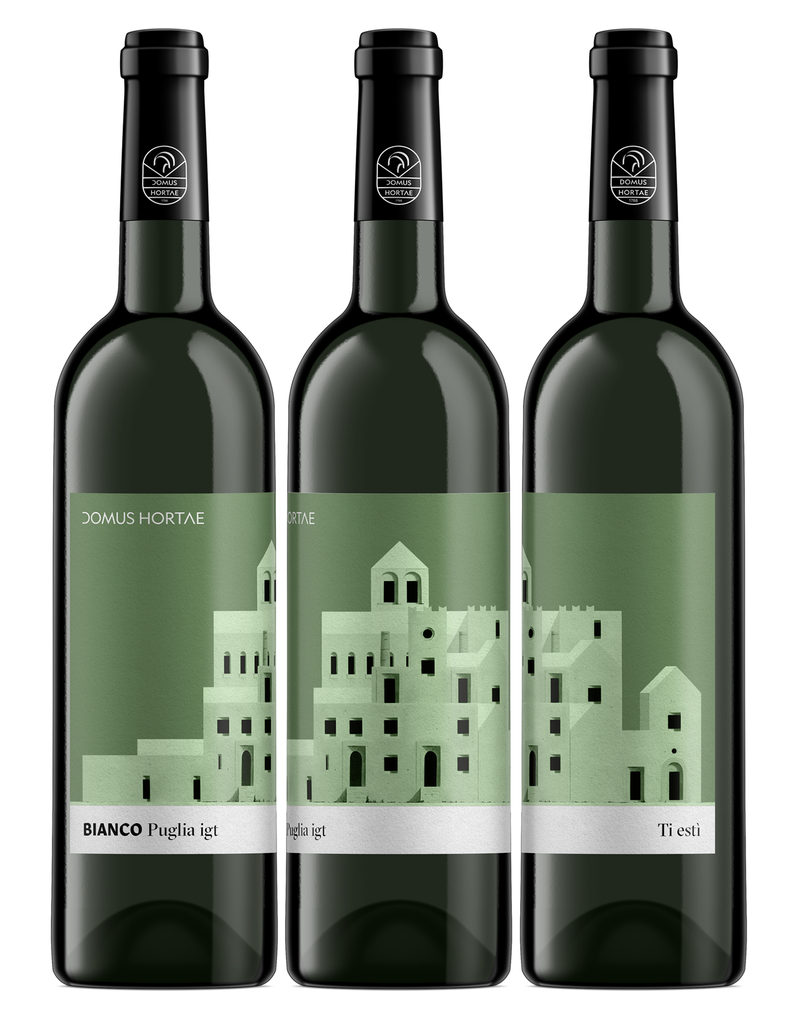 TI ESTI - Fiano Minutolo IGT Puglia 2023