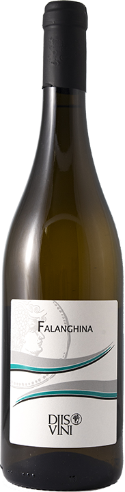 Campania Falanghina 2024 - IGP White