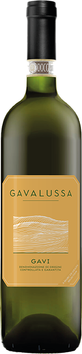 Gavi Gavalussa 24 (Bio)