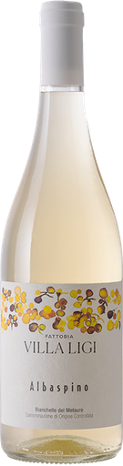 [VN10169] Albaspino 25