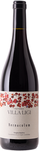 [VN10172] Vernaculum 25